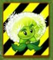 Endangered Dandelion (Piñata Party only)