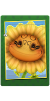 Exotic Swirls Card.png