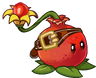 Pomegranate (belt)
