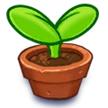 HD 1 sprout icon on the store (unused)