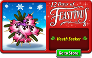 Heath Seeker in an advertisement for the 8th day of Feastivus 2022