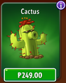 Cactus in the store (10.9.1)