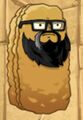 Tall-nut (beard and glasses)