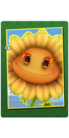 Firelashes Card.png