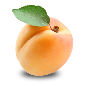Apricot PNG12652.png