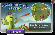 Cactus featured as Plant of the Week (2023)