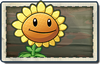 Sunflower New Pirate Seas Seed Packet.png