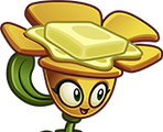 Buttercup's seed packet texture