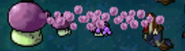Fume-shroom attacking in the DS version