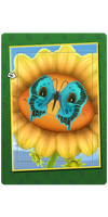 Butterfly Face Card.png