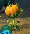 A Flag Weed wearing a Pumpkin helmet (only seen in Graveyard Ops)