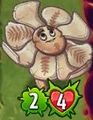 Unevolved Cro-Magnolia with 2/4 due to Pecanolith's ability