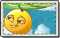 Loquat Sky City Seed Packet.png