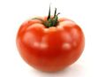 Tomato 2.jpg