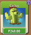 Cactus in the store (10.6.2)