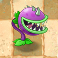 Chomper