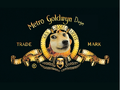 Metro Goldwyn Doge. WOOWWWWW