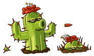 Concept for Cactus' new ability (Plants vs. Zombies 2)