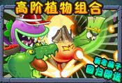 In a 2nd anniversary ad with Guacodile, Bambrook and Fire Peashooter