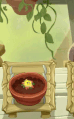 Starfruit being watered (animated, 10.5.2)