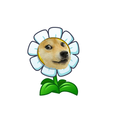 MARIGOLD DOGE! Such Coin.