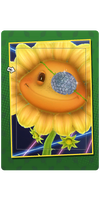 Diamond Coconut Patch Card.png