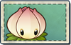 Power Lily Seed Packet.png