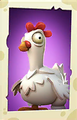 Zombie Chicken's portrait