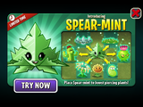 Introducing Spear-mint