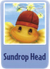 Sundrop head sf.png
