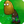 Tall-nut Zombie1.png