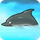 Dolphin1.png