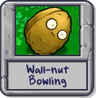 Wall-nut Bowling PC.png