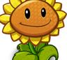 SunflowerCardImage.png