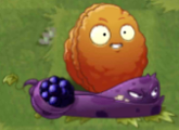 Explode-O-Nut in a Blastberry Vine