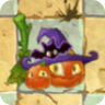 Pumpkin Witch (black bat)