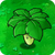 Umbrella Leaf1.png