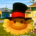 Crooked Top Hat
