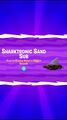 Sharktronic Sand Sub's Splash Screen