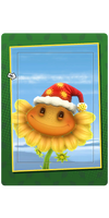 Sunny Morning Toque Card.png