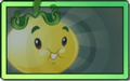 Solar Tomato Seed Packet 2C.png