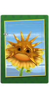 Sun Mask Card.png