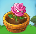 Rose Swordfighter inside a Flower Pot