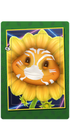 Silver Catface Card.png