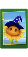 Wizard Card.png