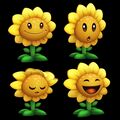 Several Sunflower expressions