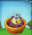 Maypop Researcher inside a Flower Pot
