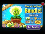 Dandelion being featured in an advertisement for Plant of the Week Bundle