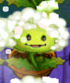Dandelion on Flower Pot