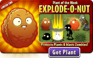 Explode-O-Nut featured as Plant of the Week (Get Plant)